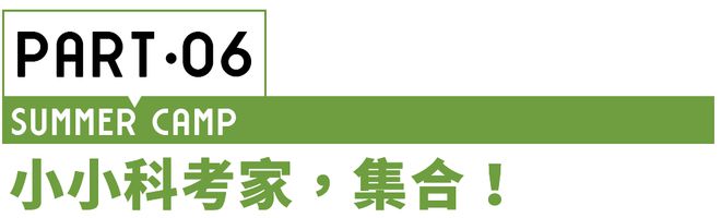 夏令营 8种角色18个营期让孩子提升能力、打开眼界、放飞想象！(图5)