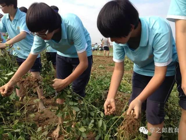 夏令营到底能给孩子带来什么？(图2)