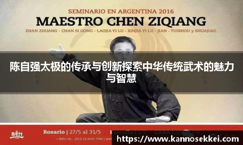 陈自强太极的传承与创新探索中华传统武术的魅力与智慧